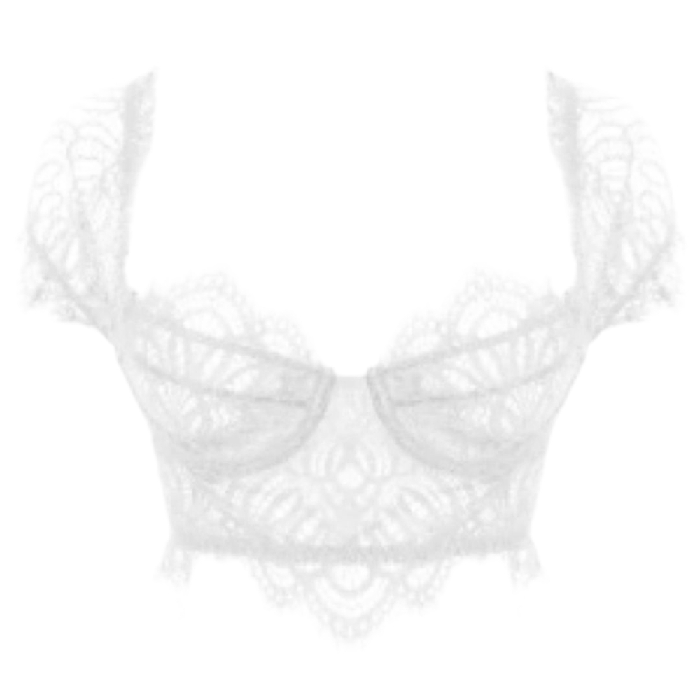 NWT LEAU White Eyelash Lace Bustier Corset Crop Top Small NEW